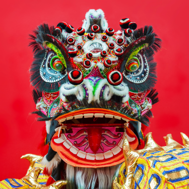 met_54498_lny_takmei_375x375 (1) Lion Dance mask for Bak Mei Kung fu