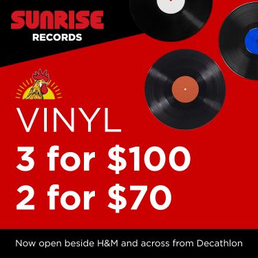 Vinyl Records icon